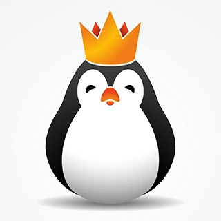 kinguin.net